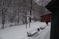 Eine romantische Bahnfahrt durch die weiße Winterlandschaft