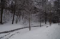 Eine romantische Bahnfahrt durch die weiße Winterlandschaft