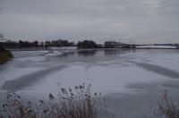 Durch die malerische Moritzburger Seenlandschaft