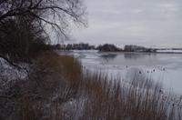 Durch die malerische Moritzburger Seenlandschaft