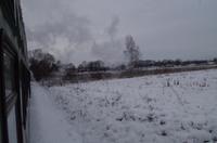 Durch die malerische Moritzburger Seenlandschaft