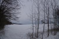 Durch die malerische Moritzburger Seenlandschaft