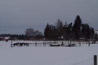 Eine romantische Bahnfahrt durch die weiße Winterlandschaft
