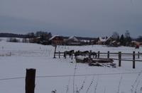 Eine romantische Bahnfahrt durch die weiße Winterlandschaft