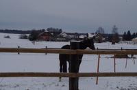 Eine romantische Bahnfahrt durch die weiße Winterlandschaft