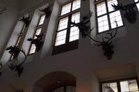 Die Ausstellung zum Märchen 