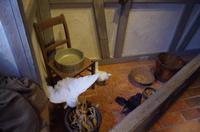 Die Ausstellung zum Märchen 