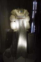 Das Kleid von Aschenbrödel