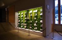 Das Porzellanmuseum in Meißen