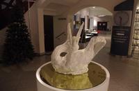 Das Porzellanmuseum in Meißen