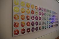 Das Porzellanmuseum in Meißen