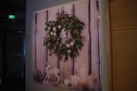 Das Porzellanmuseum in Meißen