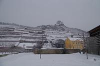Eine Führung und Verkostung im berühmten Weingut Wackerbarth