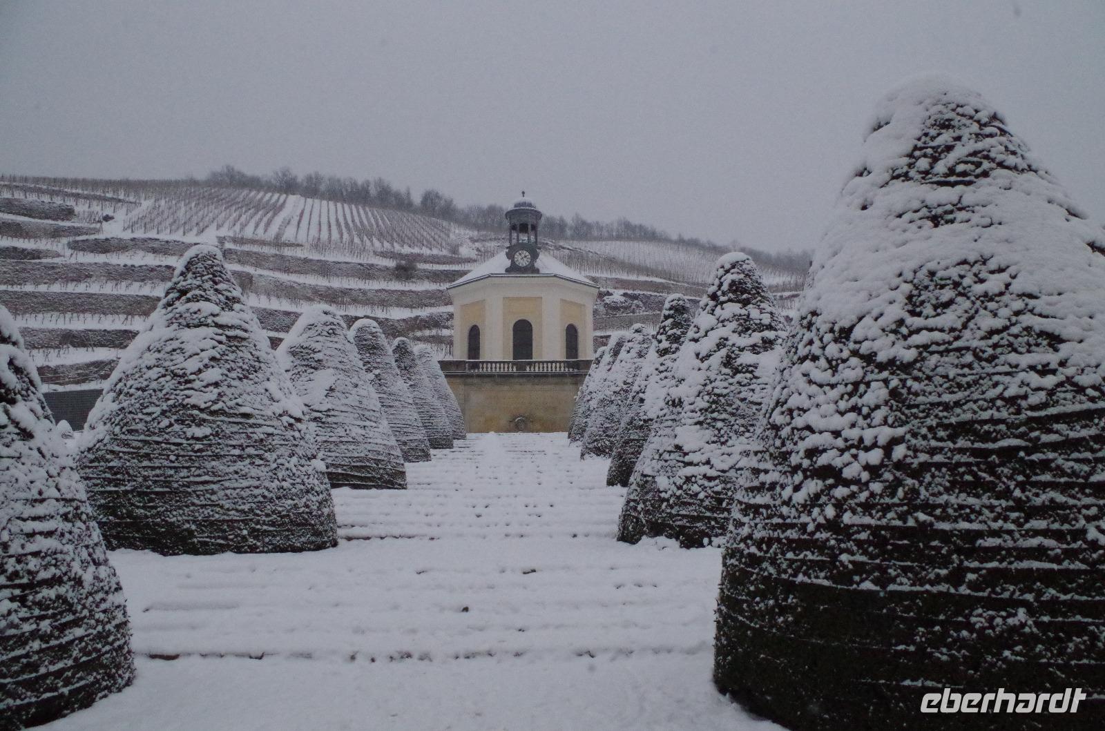 Eine Führung und Verkostung im berühmten Weingut Wackerbarth