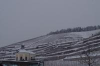 Eine Führung und Verkostung im berühmten Weingut Wackerbarth