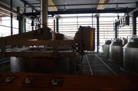 Eine Führung und Verkostung im berühmten Weingut Wackerbarth