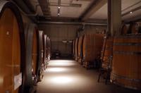 Eine Führung und Verkostung im berühmten Weingut Wackerbarth