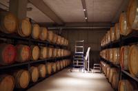 Eine Führung und Verkostung im berühmten Weingut Wackerbarth