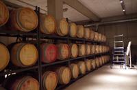 Eine Führung und Verkostung im berühmten Weingut Wackerbarth