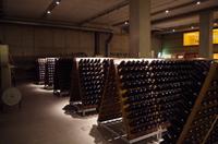 Eine Führung und Verkostung im berühmten Weingut Wackerbarth