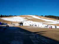 Am Feldberg