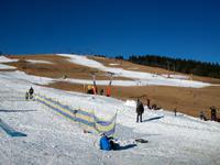 Am Feldberg