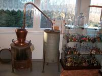 Im Schnapsmuseum