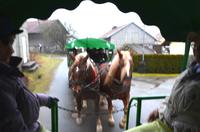 037 Wilhelmsreuth, Kutschfahrt beim Michlbauer