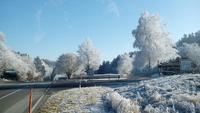 Winterlandschaft aus Bus (8)