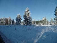 Winterliches Wiedersehen im schönen Frauenstein/Erzgebirge mit Mandy Lehmanns Eberhardt TRAVEL Strammkunden