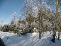 Winterliches Wiedersehen im schönen Frauenstein/Erzgebirge mit Mandy Lehmanns Eberhardt TRAVEL Strammkunden