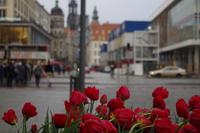 Stadtrundgang in Dresden - Altmarkt