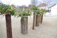 Am Weingut Schloss Wackerbarth in Radebeul