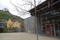 Am Weingut Schloss Wackerbarth in Radebeul