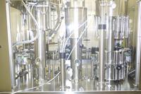 Am Weingut Vincenz Richter im Elbtal