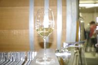 Am Weingut Vincenz Richter im Elbtal