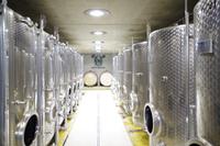 Im Weingut Vincenz Richter im Elbtal