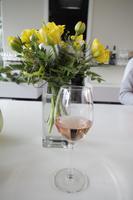 Im Weingut Vincenz Richter im Elbtal