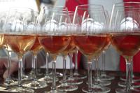 Weinverkostung im Weingut Vincenz Richter im Elbtal