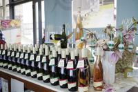 Weinverkostung im Weingut Vincenz Richter im Elbtal