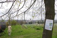 Blick auf Meißen von Schloss Proschwitz