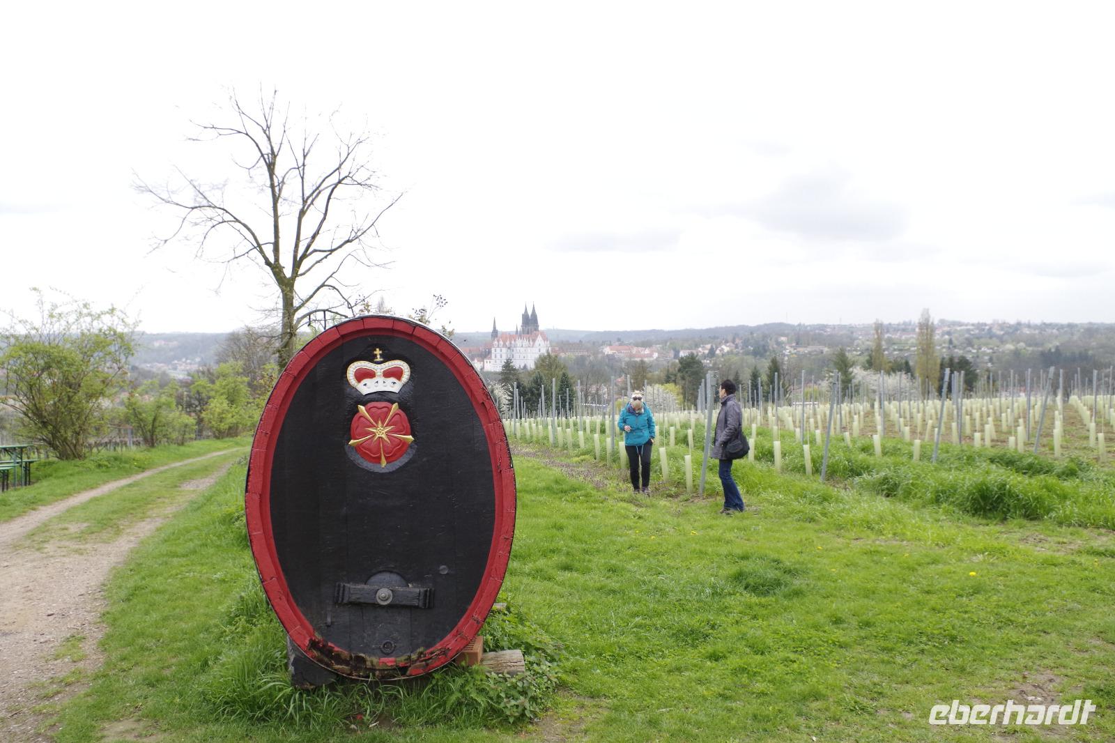 Blick auf Meißen von Schloss Proschwitz