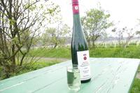 Weinverkostung am Schloss Proschwitz