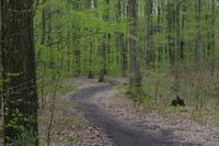 Frühlingswanderung in Moritzburg