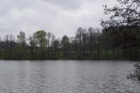 Frühlingswanderung in Moritzburg