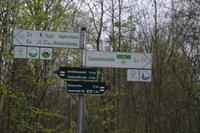 Frühlingswanderung in Moritzburg