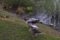 Frühlingswanderung in Moritzburg