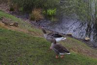 Frühlingswanderung in Moritzburg