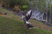 Frühlingswanderung in Moritzburg