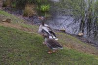 Frühlingswanderung in Moritzburg